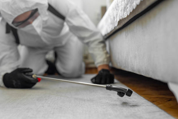 Professional Cockroach Control technician working in Inglenook, CT